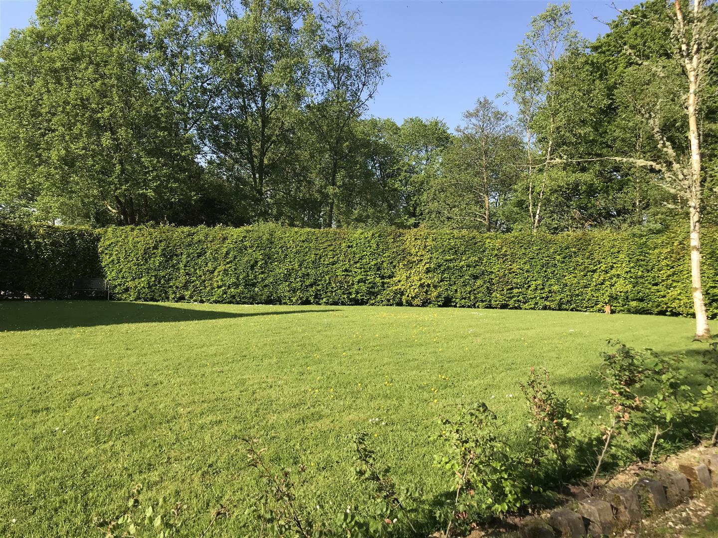 GROUNDS